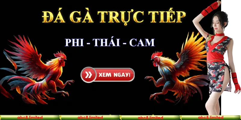 Giới thiệu chuyên mục đá gà online